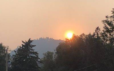 Suicide Awareness Month