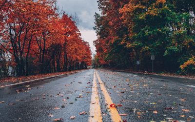 Gratitude and Perspective